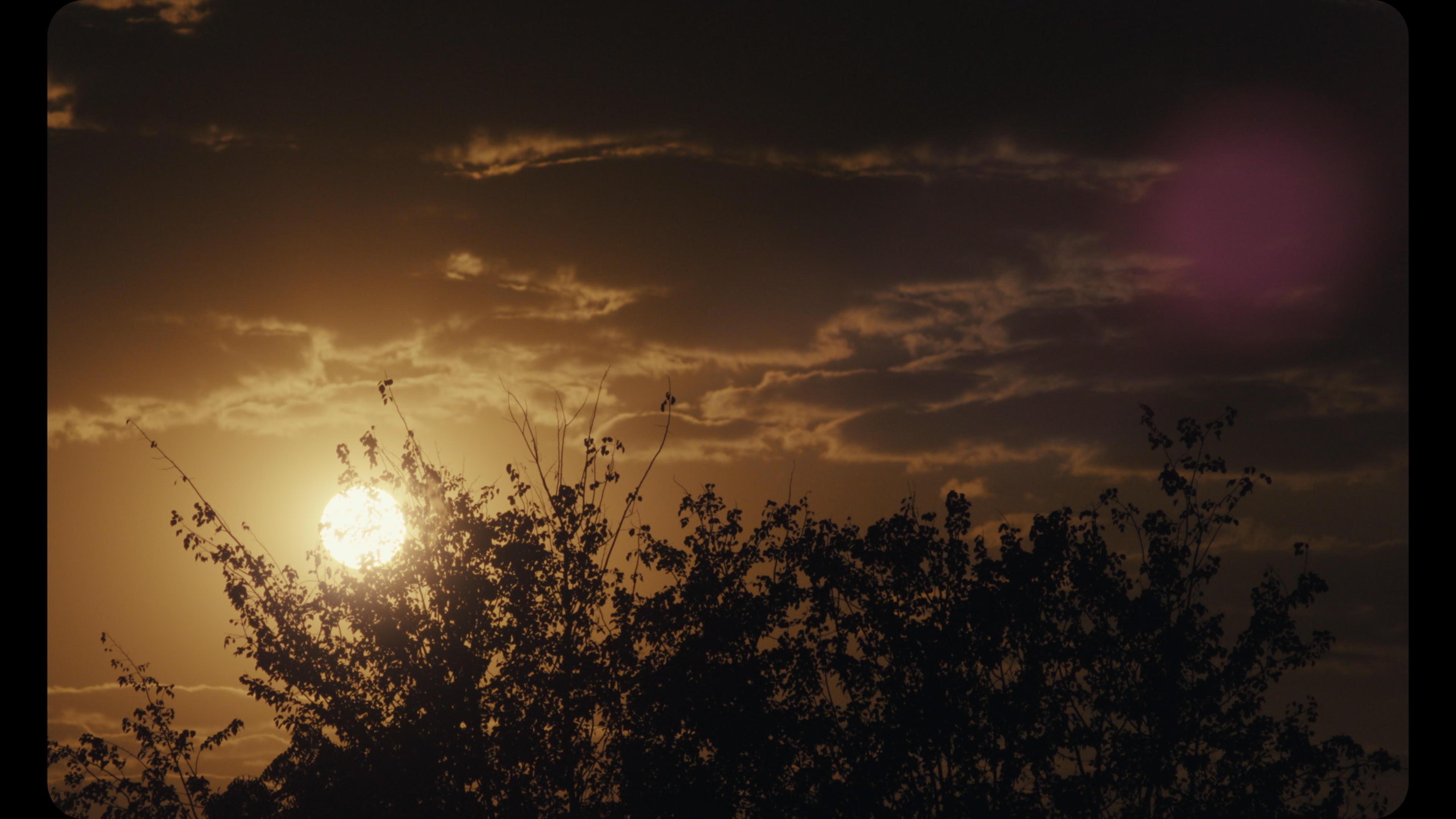 Sabar Bonda: Cactus Pears