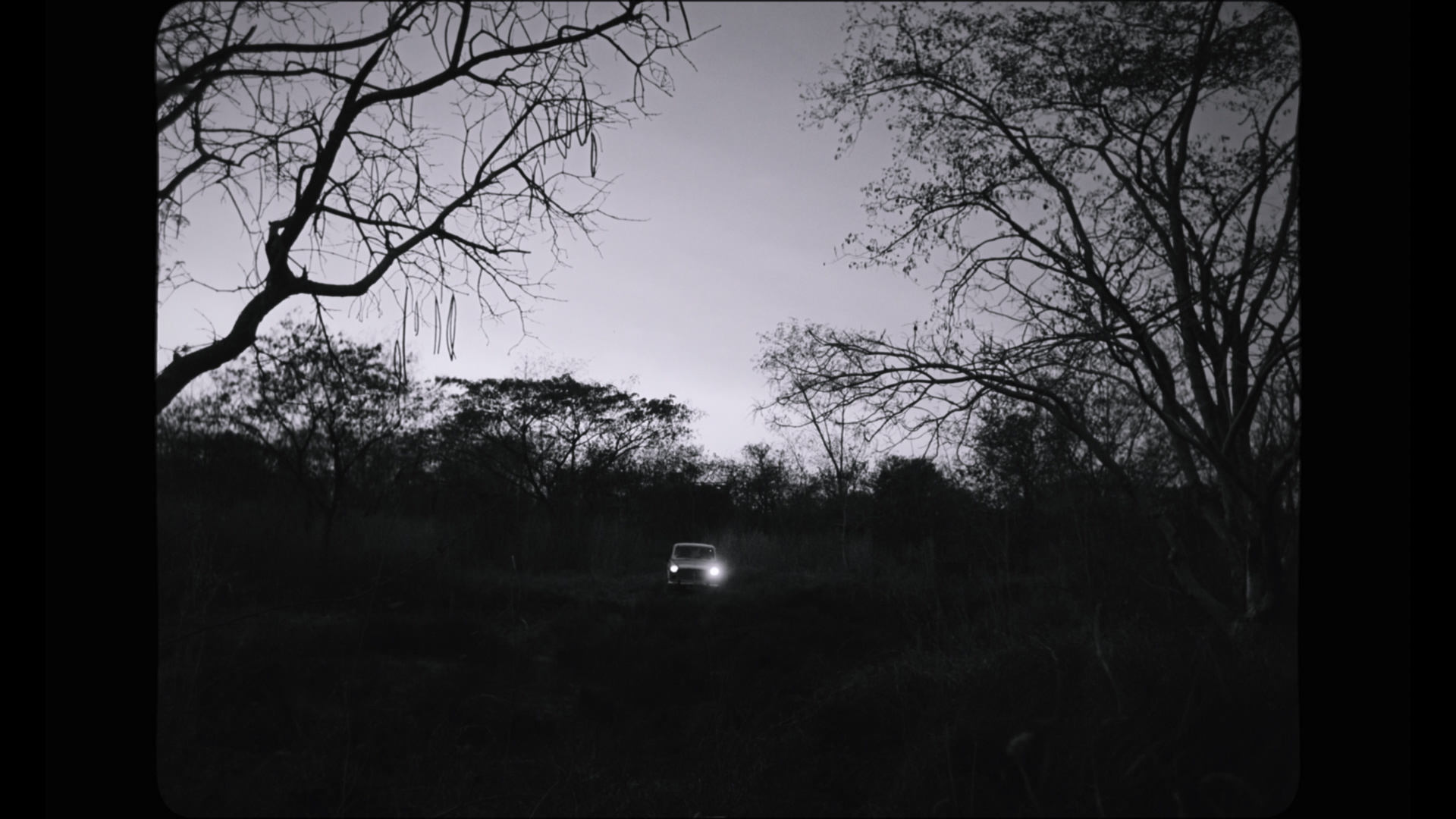 Black Warrant: Season 1