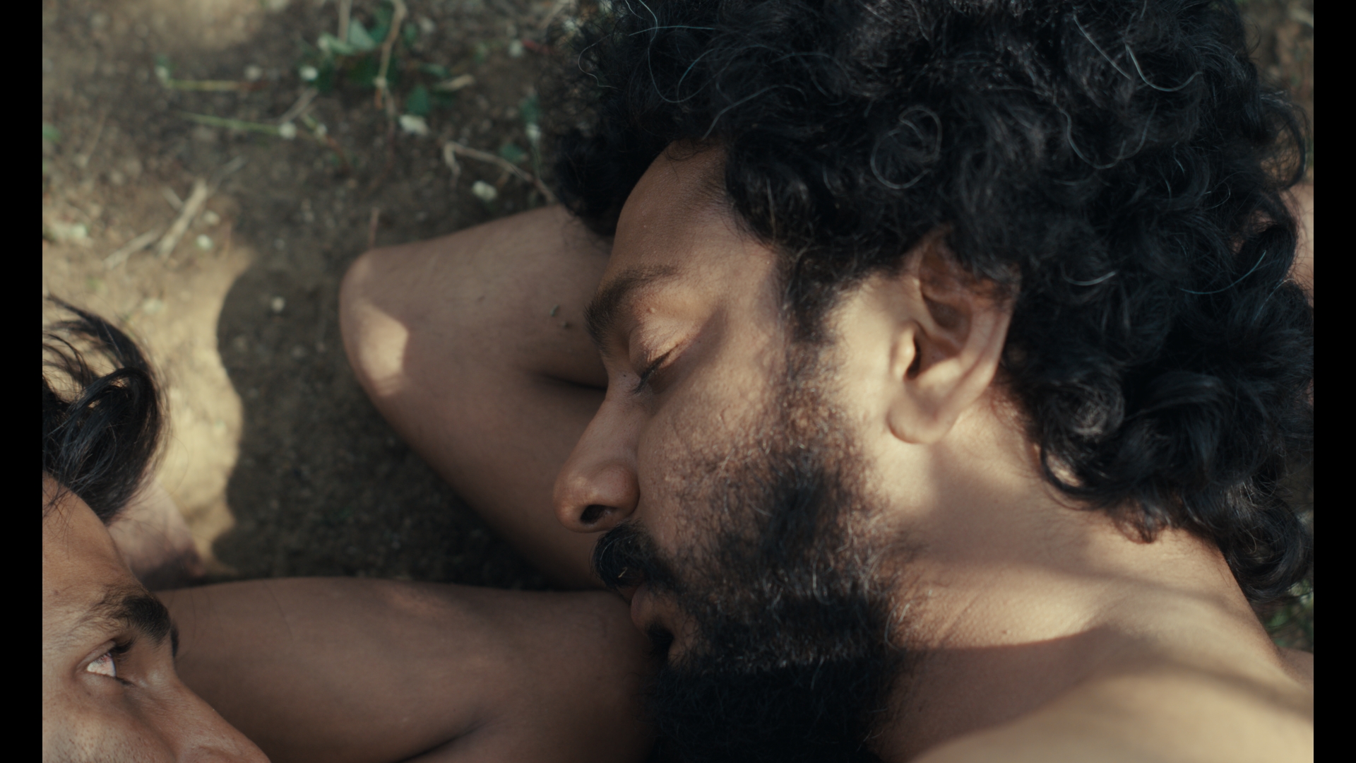 Sabar Bonda: Cactus Pears