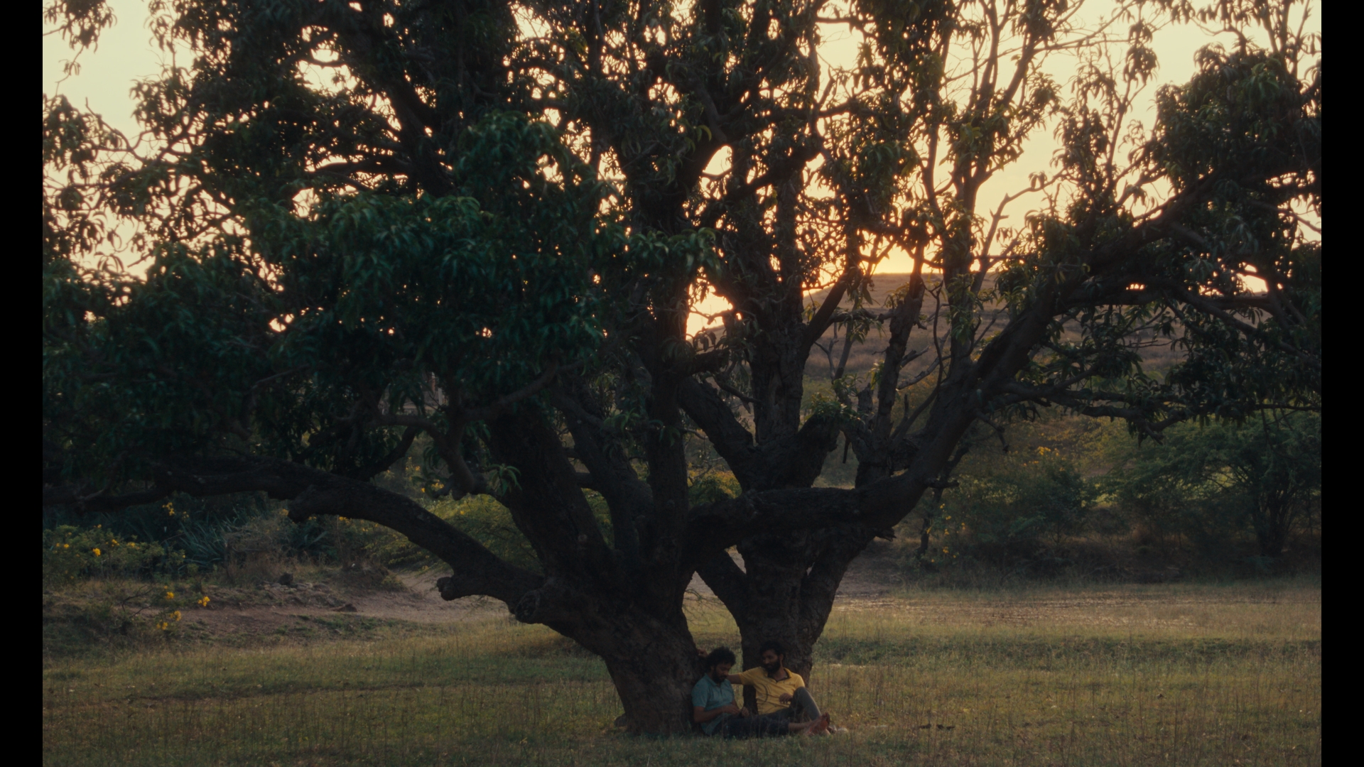 Sabar Bonda: Cactus Pears