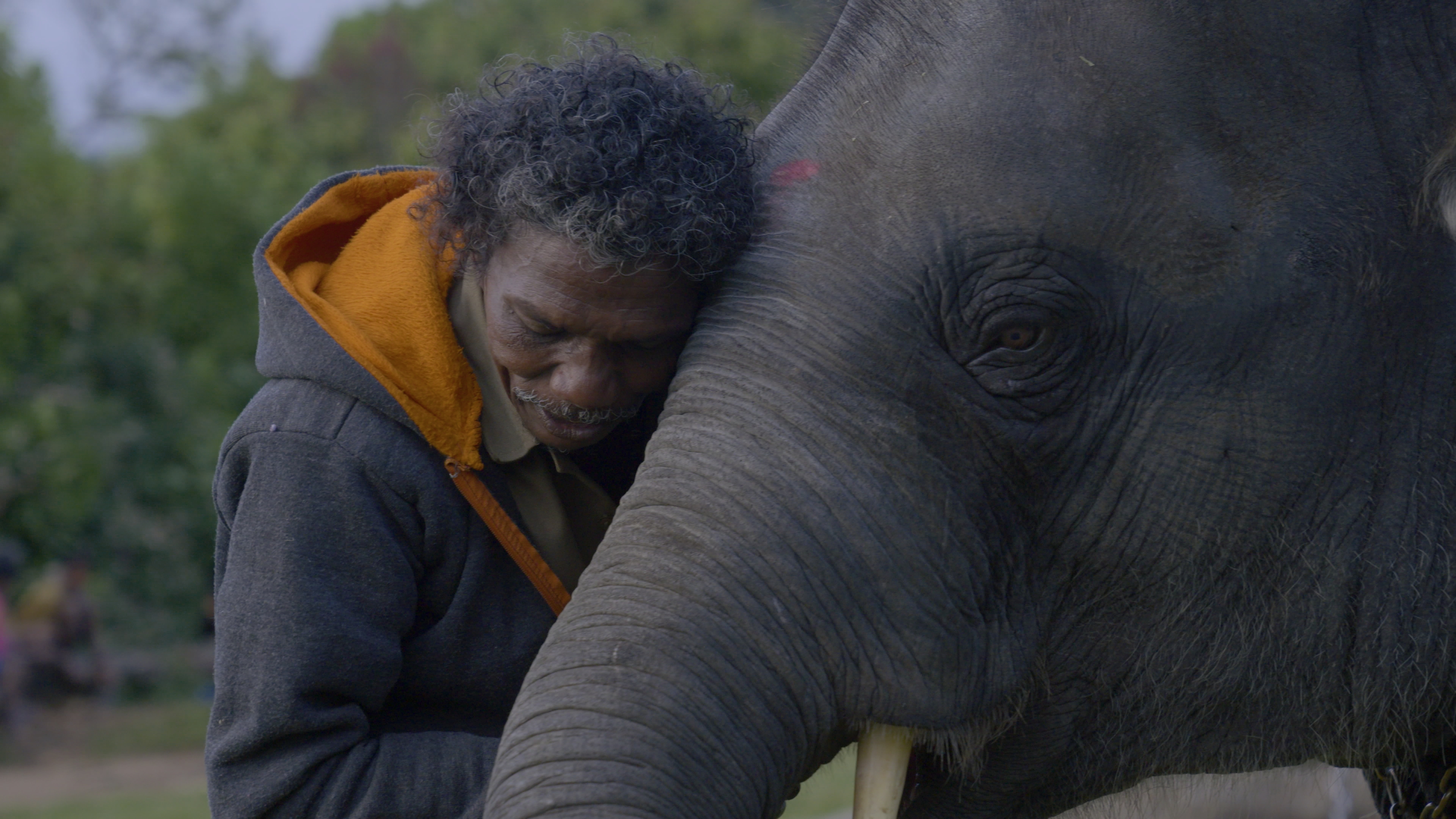 The Elephant Whisperers