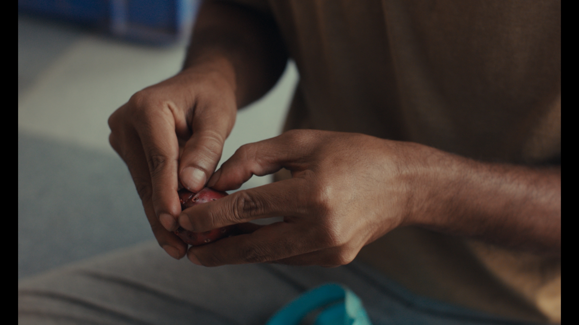 Sabar Bonda: Cactus Pears