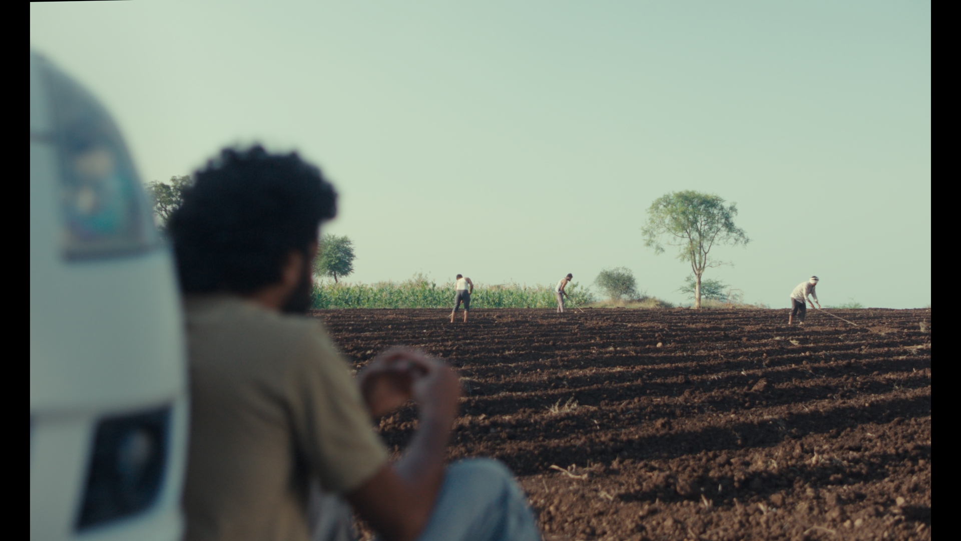 Sabar Bonda: Cactus Pears