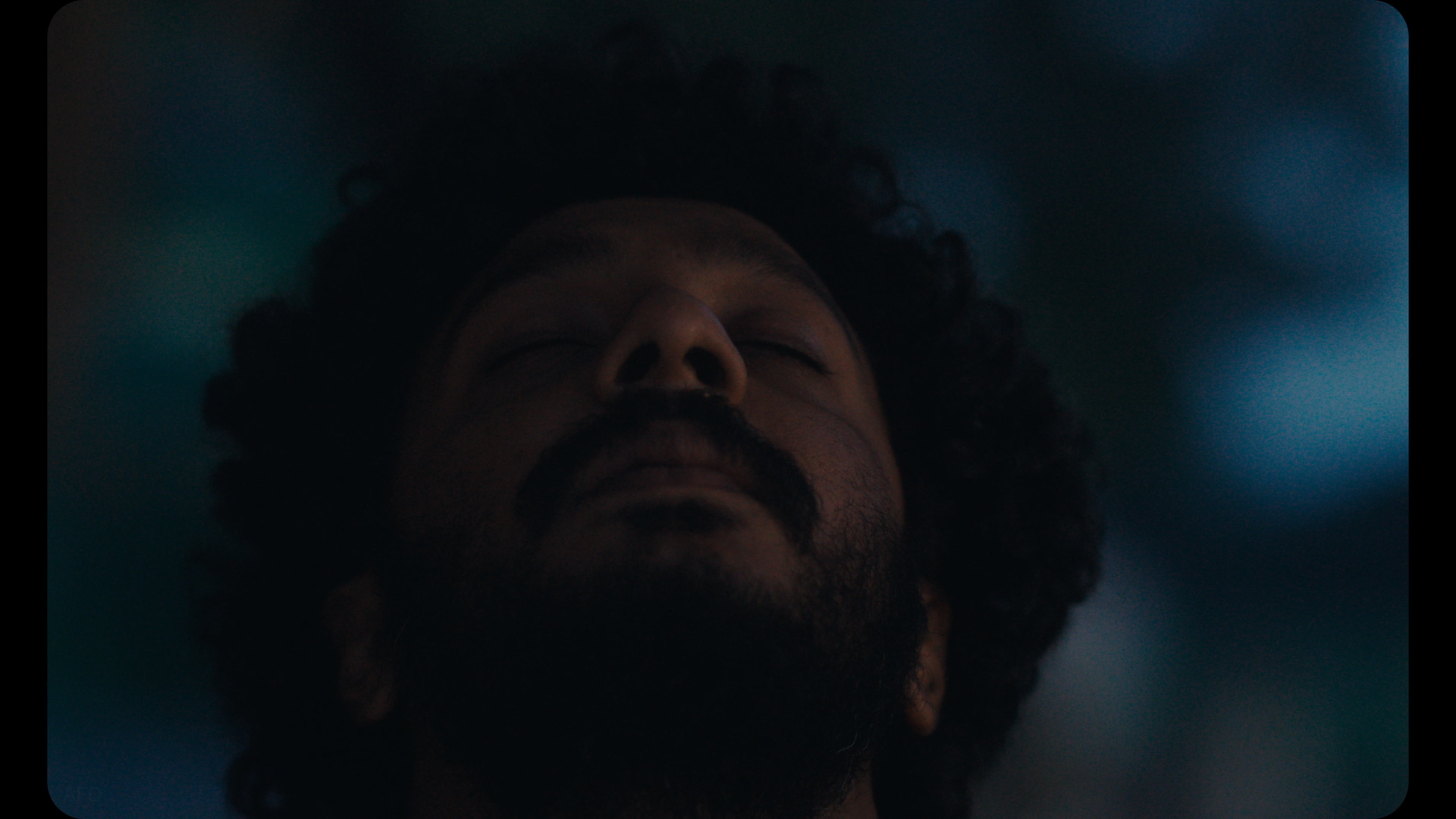 Sabar Bonda: Cactus Pears