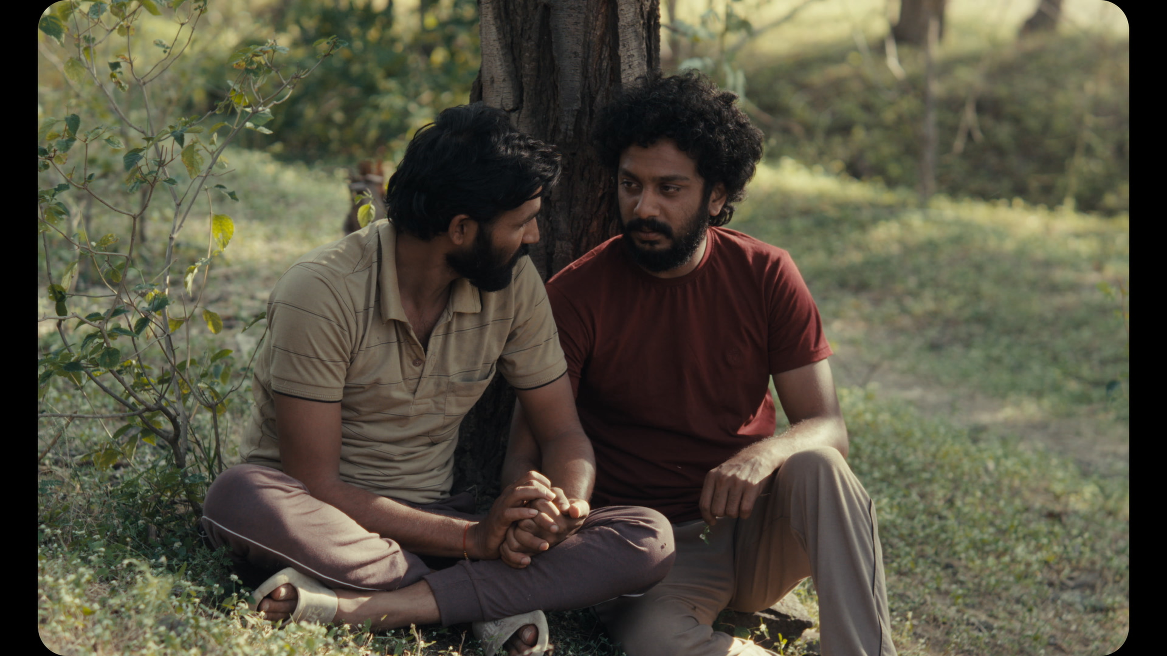 Sabar Bonda: Cactus Pears