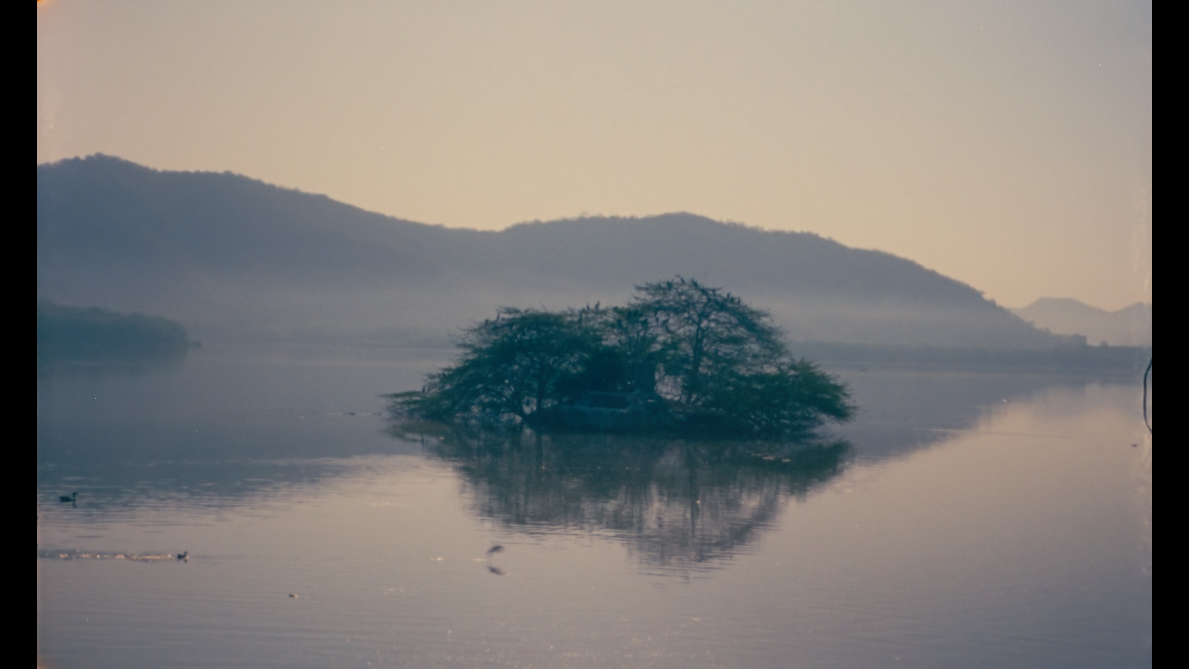 Chaap (Imprint) : Studio Ford