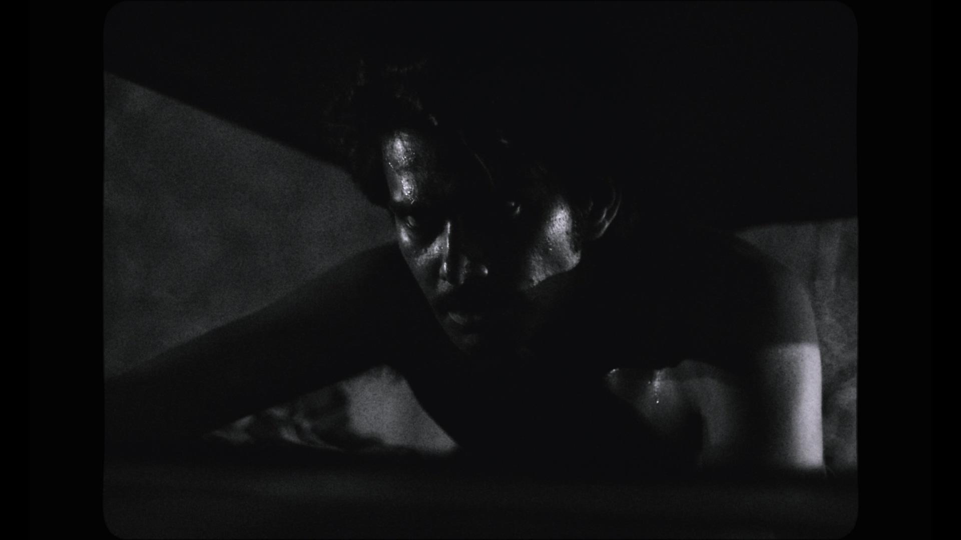 Black Warrant: Season 1